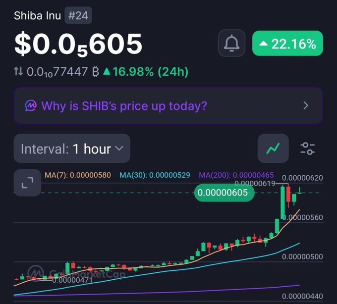 A cryptocurrency chart for Shiba Inu (SHIB #24) shows a dramatic upward price spike, with the token currently priced at $0.0₅60505, up 22.16% and 16.98% over 24 hours, supporting the post's claim that "$SHIB" is "MOONING."