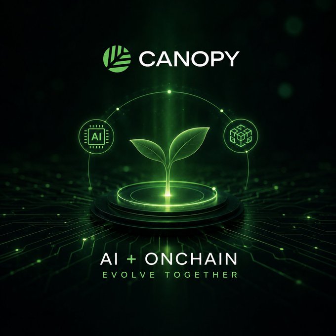 A dark, futuristic promotional graphic for "CANOPY" featuring a glowing green sprout emerging from a tech-inspired circular platform, flanked by "AI" and blockchain cube icons. The text "AI + ONCHAIN" and "EVOLVE TOGETHER" appears at the bottom, visually reinforcing the post's message about building new infrastructure where AI and blockchain development grow together.