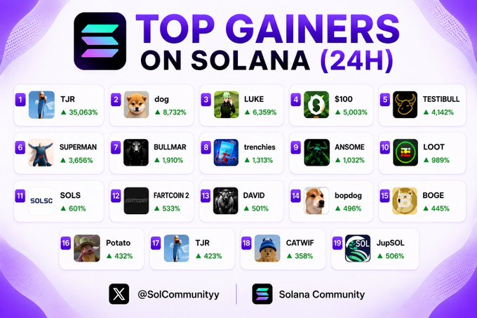 'TOP GAINERS ON SOLANA (24H)' infographic showing 19 ranked tokens with percentage gains, including T-JR (35,063%), dog (8,732%), LUKE (6,359%), $100 (5,003%), and TESTIBULL (4,142%).
