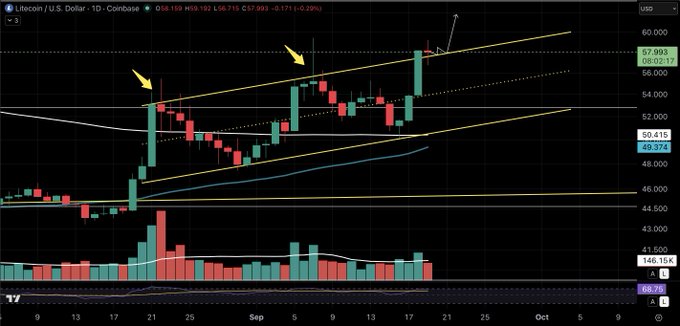 A daily candlestick chart of Litecoin ($LTC) priced in USD on Coinbase shows the cryptocurrency trading at 57.99, testing the upper rail of a rising parallel channel (highlighted by yellow arrows) with previous rejection points visible around 21 and late August, as it holds near resistance after bouncing from the 50-day moving average support at 48.374.