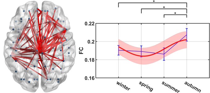 A scientific figure showing a 3D brain visualization with red neural connections on the left, paired with a line graph on the right plotting functional connectivity (FC) across four seasons (winter, spring, summer, autumn), with autumn showing the highest values and statistical significance markers indicated by asterisks.
