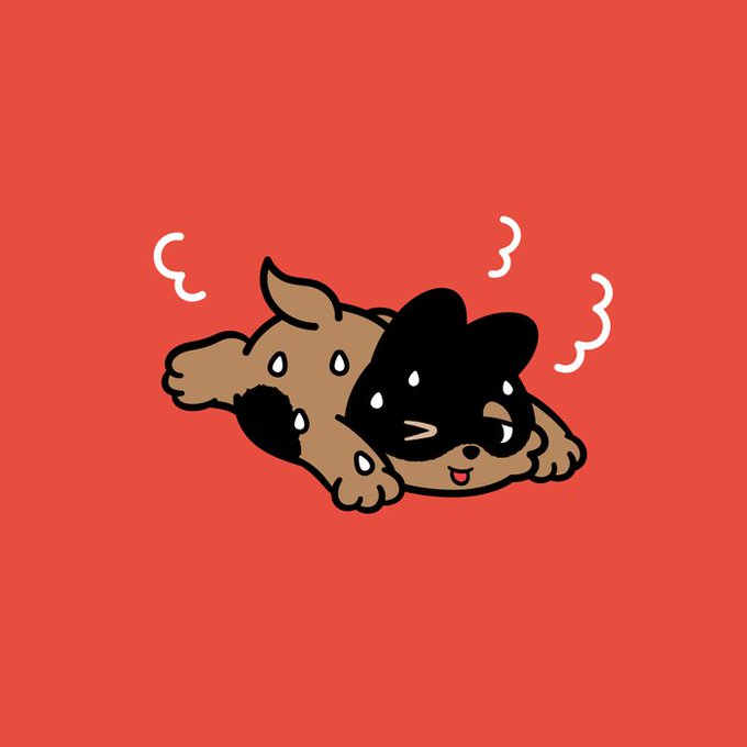 An illustration features a cartoon brown dog and black cat huddled together with sweat drops, depicted on a solid red-orange background.