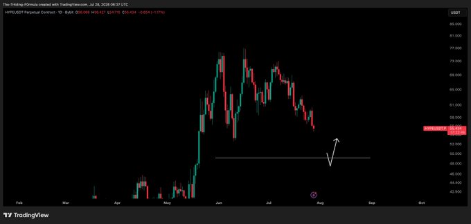 A TradingView daily candlestick chart of the HYPE/USDT perpetual contract shows price declining from a July peak near $69 toward a support zone around $48–52, with an arrow pointing to the anticipated drop area. The chart confirms the post's prediction of a continued leg down toward the $52–$48 range.