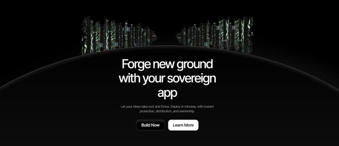 A dark website screenshot with the headline 'Forge new ground with your sovereign app' and 'Build Now' and 'Learn More' buttons.