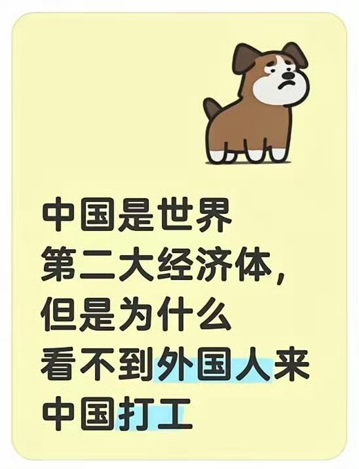 A yellow graphic with a cartoon dog and Chinese text reading '中国是世界第二大经济体，但是为什么看不到外国人来中国打工' (China is the world's second largest economy, but why don't we see foreigners coming to China to work).