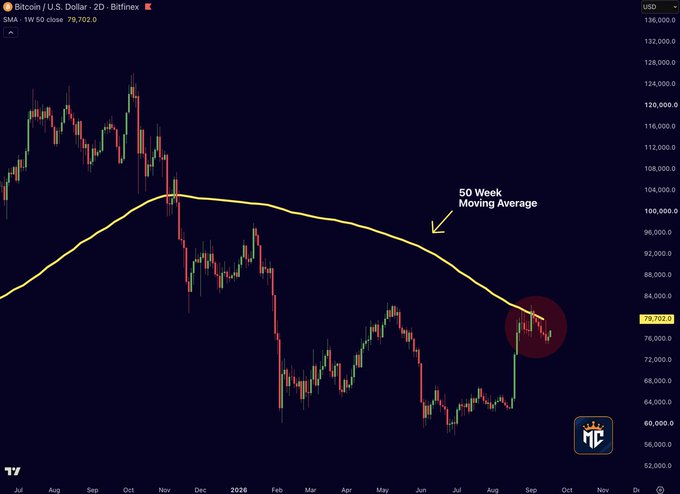A Bitcoin/USD 2D candlestick chart from Bitfinex showing BTC trading at $79,702.0, with the 50-week moving average (yellow line) acting as resistance around $79,700, highlighted by a red circle where price is consolidating just below this key level.