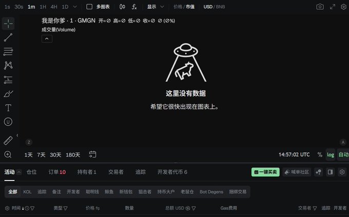 Trading platform interface in Chinese showing 'MGMGN' token with no chart data available, displaying the message '这里没有数据'.