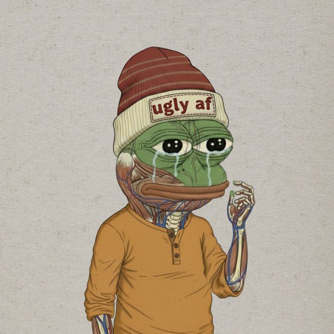 A crying Pepe the Frog meme wearing a striped beanie with a patch reading "ugly af" and an orange shirt.