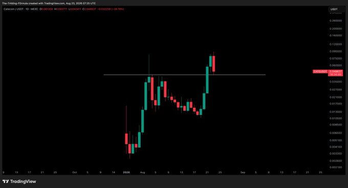 The image shows a TradingView daily candlestick chart for the CATE/USDT pair on MEXC, currently trading at 0.034868, with price having recently broken above a horizontal support/resistance line near 0.0425. The chart visually supports the post's commentary by showing the breakout momentum that could indicate a potential bounce-off entry point, while the volatile price action reflects the risky nature of meme tokens.