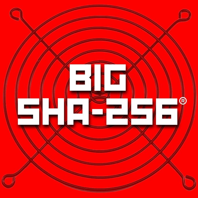 A red square logo with white text reading 'BIG SHA-256®' over a graphic of concentric circles and crossed lines resembling a planetary or atomic diagram.