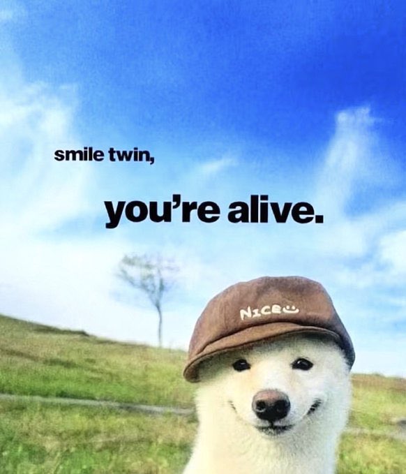 The image features a white dog wearing a brown hat with a smiley face on it, sitting in front of a field or grassy area under a blue sky. The caption reads "smile twin you're alive", which seems to be related to the post about sleep and wellness.