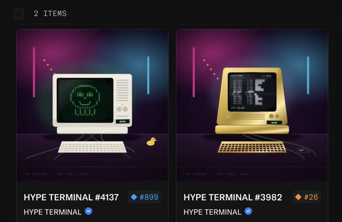 A dark-themed digital storefront displays two NFT items for sale: 'HYPE TERMINAL #4137' priced at 899 ETH and 'HYPE TERMINAL #3982' priced at 26 ETH, showing retro computer designs.