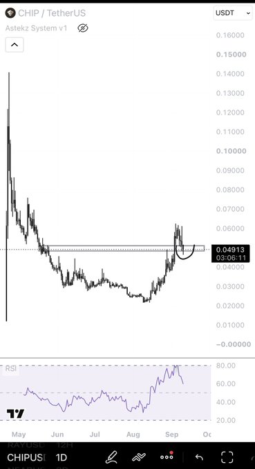 A candlestick chart from TradingView displays the CHIP/TetherUS (CHIPUSDT) pair with a price of 0.04913 at 03:06:11, showing a sharp early spike followed by a long downtrend and a recent recovery, with the RSI indicator at the bottom.