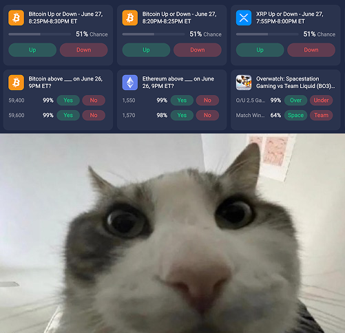 A cat with wide, manic eyes stares intently from below while multiple prediction market bet slips hover above—showing 99% "Yes" bets on Bitcoin/Ethereum price thresholds and an Overwatch Space vs. Team wager—all reflecting the "4am Polymarket addict" energy of the post.