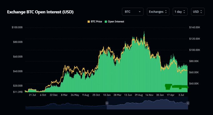 A dark-themed financial chart titled 'Exchange BTC Open Interest (USD)' showing BTC Price and Open Interest trends over a 1-day timeframe.