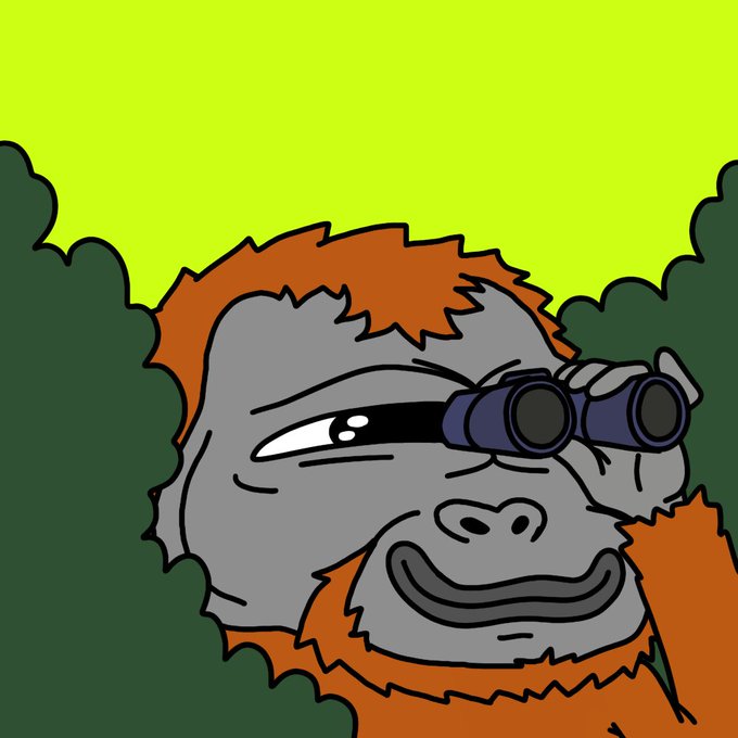 A cartoon illustration of a smiling gray gorilla with orange fur and beard, holding binoculars to one eye, peering out from behind green bushes against a lime green sky.