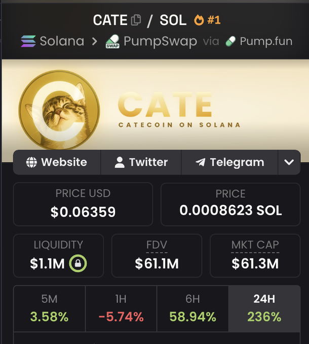 A screenshot of the CATE/SOL memecoin trading pair on PumpSwap via Pump.fun shows a price of $0.06359 (0.0008623 SOL) with a market cap of $61.3M and FDV of $61.1M, alongside significant gains of 58.94% over 6H and 236% over 24H. The image illustrates the poster's point about relying on X's algorithm to spot trending memecoins like CATE, which clearly delivered substantial returns shortly after launch—validating their approach over paid alpha groups or copy trading services.