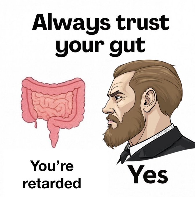 A meme image features a cartoon illustration of the "Nordic Gamer" or "Yes Chad" character on the right, with a drawing of intestines on the left. The text reads "Always trust your gut" at the top, with "You're retarded" labeled under the intestines and "Yes" under the Chad character.