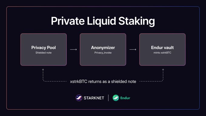 A dark-themed infographic titled 'Private Liquid Staking' showing a flow diagram: Privacy Pool (Shielded note) → Anonymizer (Privacy_invoke) → Endur vault (mints xstrkBTC), with Starknet and Endur logos at the bottom.