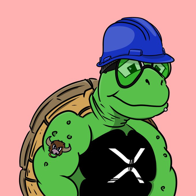 A cartoon illustration of a muscular green turtle character wearing a blue hard hat and a black tank top with a white "X" logo, with a small bug on its arm.