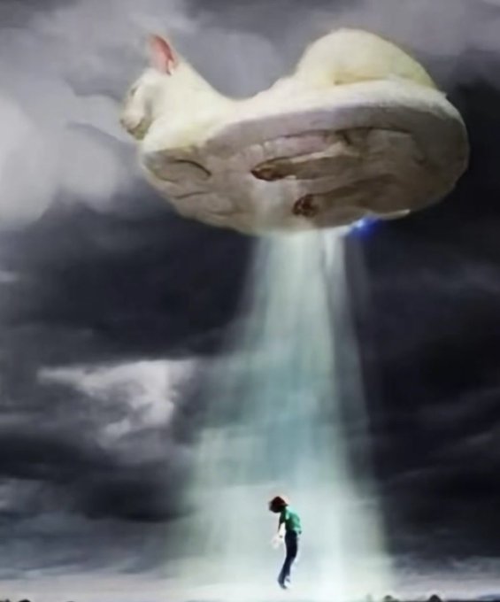 A surreal digital artwork shows a small figure in a green shirt standing beneath a massive cloud-like flying saucer shaped like a cat or animal, with a beam of light streaming down from the object in a stormy sky.