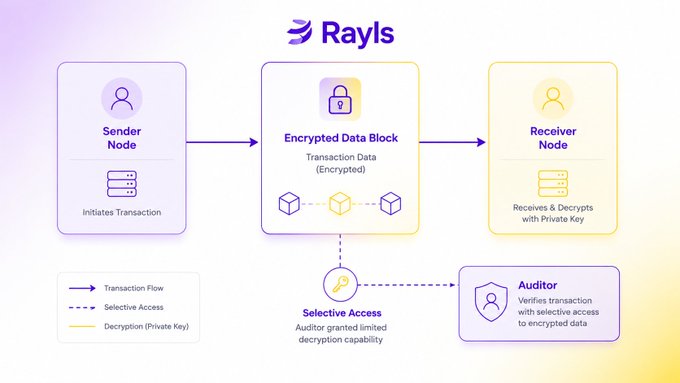 A Rayls blockchain diagram showing a transaction flow from a Sender Node through an Encrypted Data Block to a Receiver Node, with an Auditor granted selective decryption access.