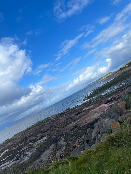 A tilted coastal landscape shows a rocky shoreline, patches of grass, the sea, and a bright blue sky filled with sweeping white clouds.
