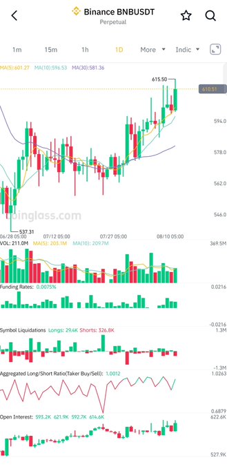 A candlestick chart from Binance showing BNBUSDT Perpetual trading data, with visible indicators including MA(5), MA(10), MA(30), MA(60), and sections for Funding Rates, Symbol Liquidations, Long/Short Ratio, and Open Interest.