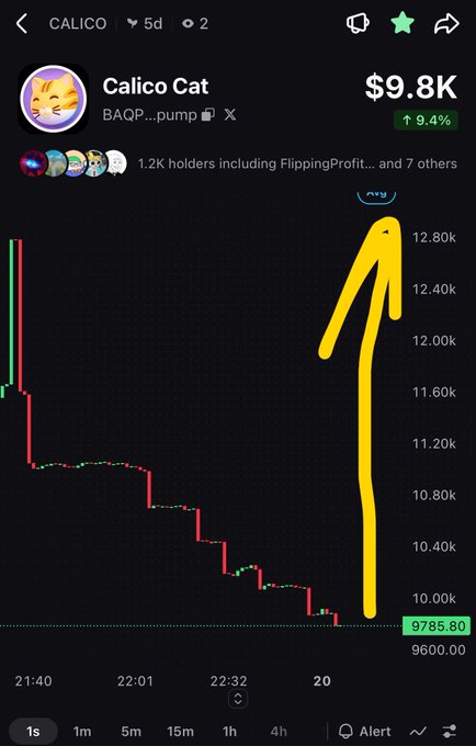 A cryptocurrency tracking app displays the "Calico Cat" (BAQP...pump) token at $9.8K, up 9.4%, with a chart showing a sharp price spike drawn in yellow marker.