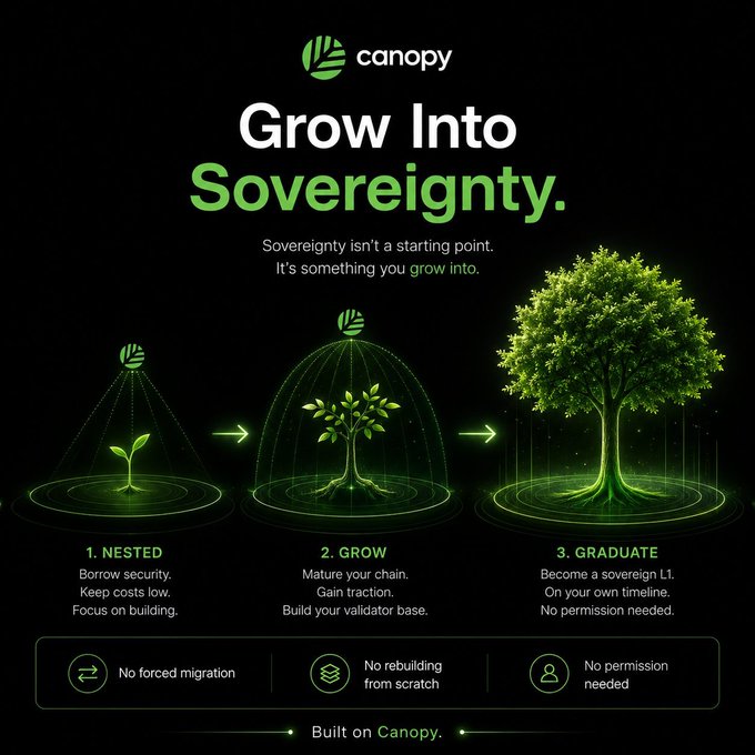 A Canopy promotional graphic titled 'Grow Into Sovereignty' showing a three-stage illustration (Nested, Grow, Graduate) of a plant evolving into a full tree, emphasizing 'No forced migration' and 'No permission needed'.