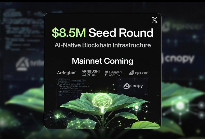 The image shows a promotional graphic for Cnopy announcing its "$8.5M Seed Round" for "AI-Native Blockchain Infrastructure" with "Mainnet Coming," featuring logos of investors Arrington, Arnbushi Capital, Fengbushi Capital, and Spencer, alongside a glowing green plant with a digital leaf network symbolizing AI-blockchain integration. This visually reinforces the accompanying post's emphasis on Cnopy's $8.5M seed funding and its builder-focused approach, highlighting the project's growth and technological vision.