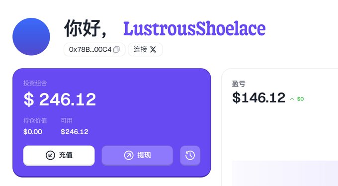 A cryptocurrency wallet dashboard with Chinese text showing a user named 'LustrousShoelace' with an investment portfolio of $246.12, available funds of $246.12, and a profit/loss of $146.12.