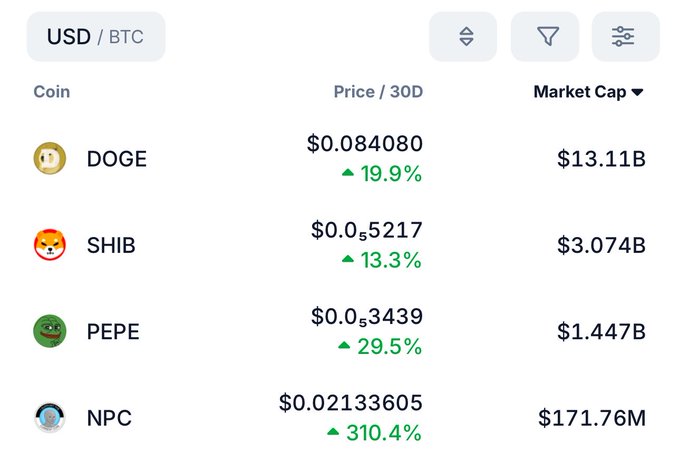 A cryptocurrency market table showing prices in USD/BTC for DOGE at $0.084080 (+19.9%), SHIB at $0.05217 (+13.3%), PEPE at $0.053439 (+29.5%), and NPC at $0.02133605 (+310.4%) with their respective market caps.