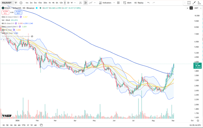 A TradingView candlestick chart for EGLD/USDT on Binance showing price action with moving averages and Bollinger Bands from January to August 2026.