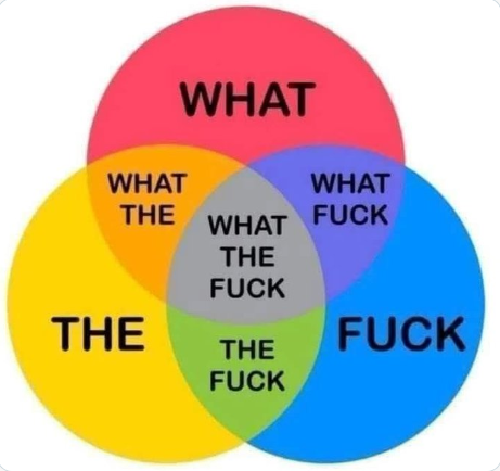 A colorful Venn diagram meme with three overlapping circles labeled 'WHAT' (red), 'THE' (yellow), and 'FUCK' (blue), showing various humorous intersections like 'WHAT THE' and 'THE FUCK.'
