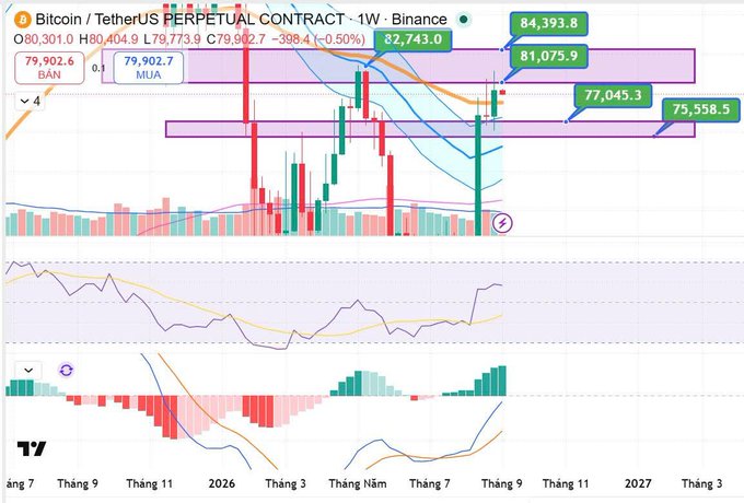 A weekly candlestick chart of the Bitcoin/TetherUS Perpetual Contract on Binance, showing price action between approximately 75,558.5 and 84,393.8.