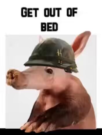 The image features a pig wearing a helmet with the caption "Get out of bed" written above it. The pig appears to be in a military uniform, which adds an interesting twist to the scene. The background is white, making the pig and its helmet stand out prominently against this backdrop.