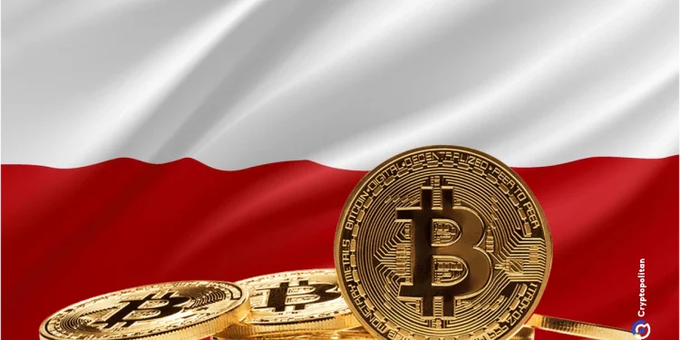 Several gold Bitcoin coins displayed against a backdrop of the Polish flag, with a 'Cryptopolitan' watermark in the corner.