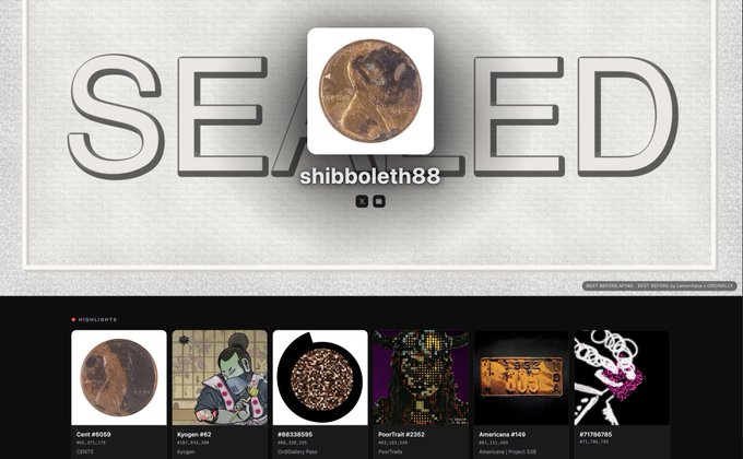 A digital showcase page for NFT artist 'shibboleth88' displaying the text 'SEIZED' with a circular artwork in place of the 'I', showing a highlights reel of their collection below.