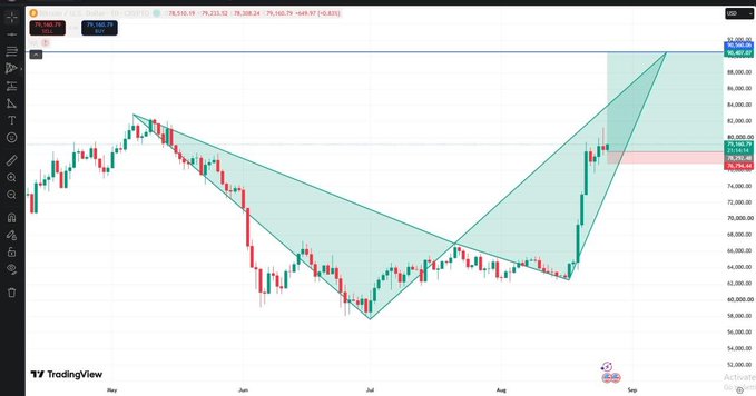 A TradingView daily chart displaying BTC/USD (Bitcoin) price action with a harmonic pattern overlay (appears to be a Gartley or similar formation) with a 1D forecast projection extending to ~$96,000-$98,000.