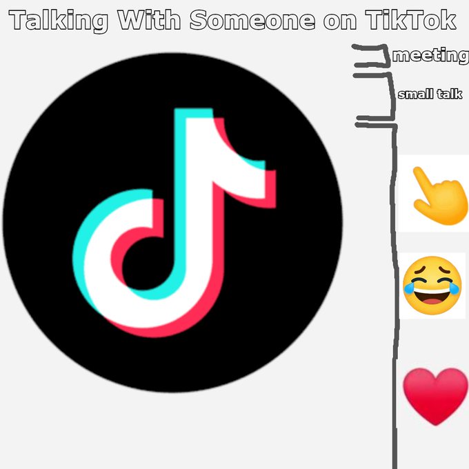 A humorous diagram showing 'Talking With Someone on TikTok' with the TikTok logo on the left, and on the right shows a progression from 'meeting' to 'small talk' down to just emojis (pointing finger, laughing face, heart).