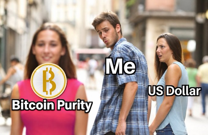 The 'Distracted Boyfriend' meme with labels: the girlfriend on the left labeled 'Bitcoin Purity' with a Bitcoin logo, the boyfriend labeled 'Me', and the other woman labeled 'US Dollar'.
