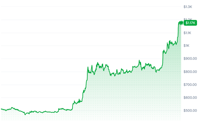 A financial line chart shows a stock's price starting around $500 and rising sharply to end at $1.17K, indicated by a green label. The y-axis shows values from $500.00 to $1.3K.