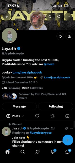 A Twitter/X profile screenshot for 'Jay.eth' (@Jaydotcrypto), a verified crypto trader with 206K followers, featuring a monkey avatar and a pinned tweet about a trading channel.