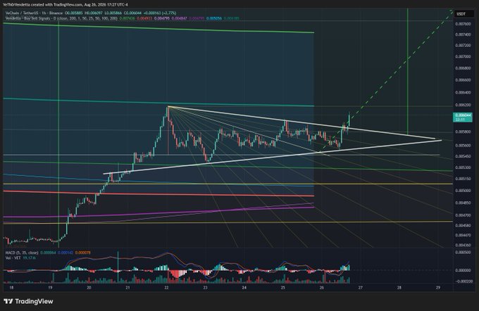 A TradingView candlestick chart shows the VeChain/Bitcoin (VETBTC) price action with various technical analysis tools including trendlines and a MACD indicator.