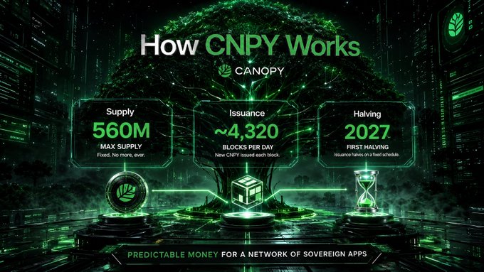 A green-themed infographic titled 'How CNPY Works' displays key stats for the Canopy network: Supply 560M Max, Issuance ~4,320 blocks per day, and Halving in 2027, with the tagline 'Predictable Money for a Network of Sovereign Apps.'