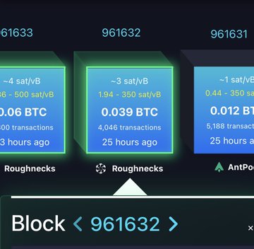 Bitcoin blockchain explorer showing block 961632 with a mining reward of 0.039 BTC credited to 'Roughnecks'.