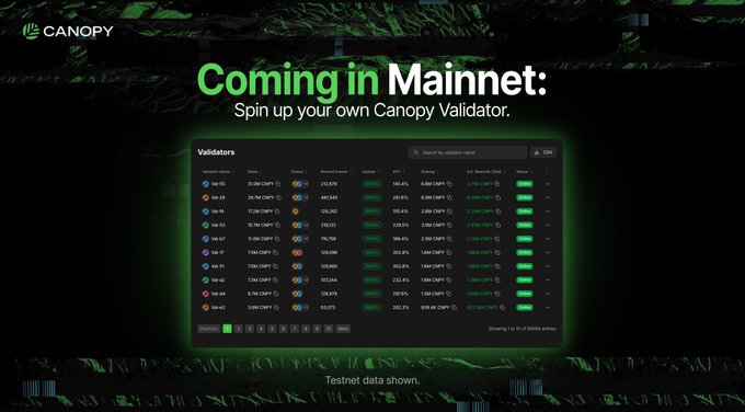 A promotional graphic for Canopy with the text 'Coming in Mainnet: Spin up your own Canopy Validator,' featuring a screenshot of a validators dashboard with testnet data.