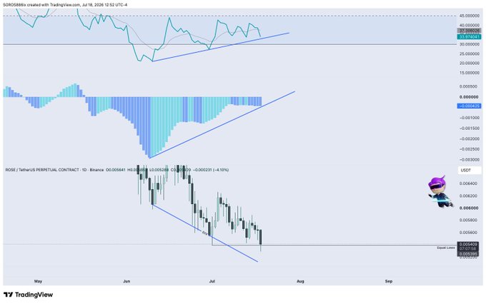 A TradingView chart of the ROSE/USDT Perpetual Contract on Binance shows a daily candlestick view from May through August 2026, with price near $0.005564 alongside a bullish divergence signal in the RSI indicator. The setup aligns with the post's call for a potential long entry next week if the daily and weekly closes form a swing failure pattern (SFP) near the lows.