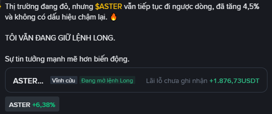 Vietnamese trading update about $ASTER token stating it continues moving against the market, up 4.5% with no signs of slowing, with the advisor holding a long position and a profit of +1,876.73 USDT (currently +6.38%).
